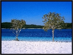 Australia, Drzewa, Frazer Island, Wyspa, Jezioro